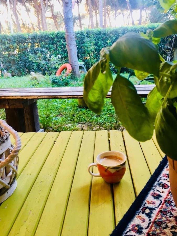 La Casa Di Nataly Frühstückspension Fregenae